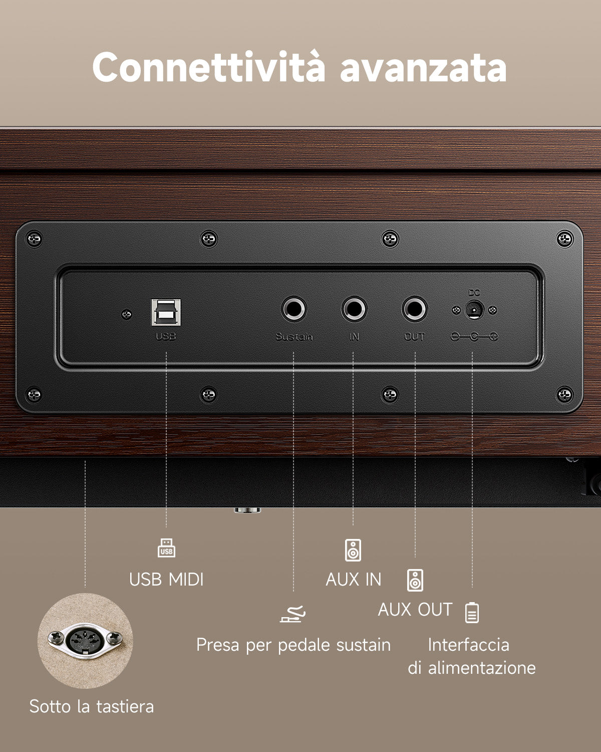 Donner OURA™ R300 Pianoforte digitalein stile casalingo-Brown##