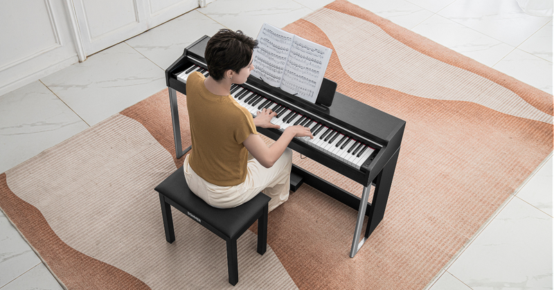 Introduzione al Donner DDP-200 Pro Pianoforte Digitale