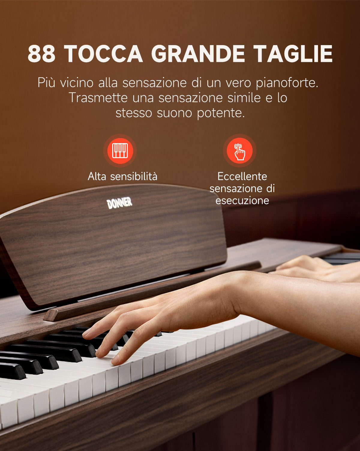 Donner DDP-80 tastiera fully weighted in legno-Noce##