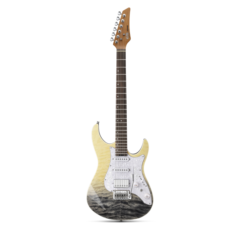 【Pre-vendita】Donner DST-550 39 pollici ST chitarra elettrica HSS pickup corpo in pioppo massello a doppio taglio-【Spedizione prevista per il 3 luglio】