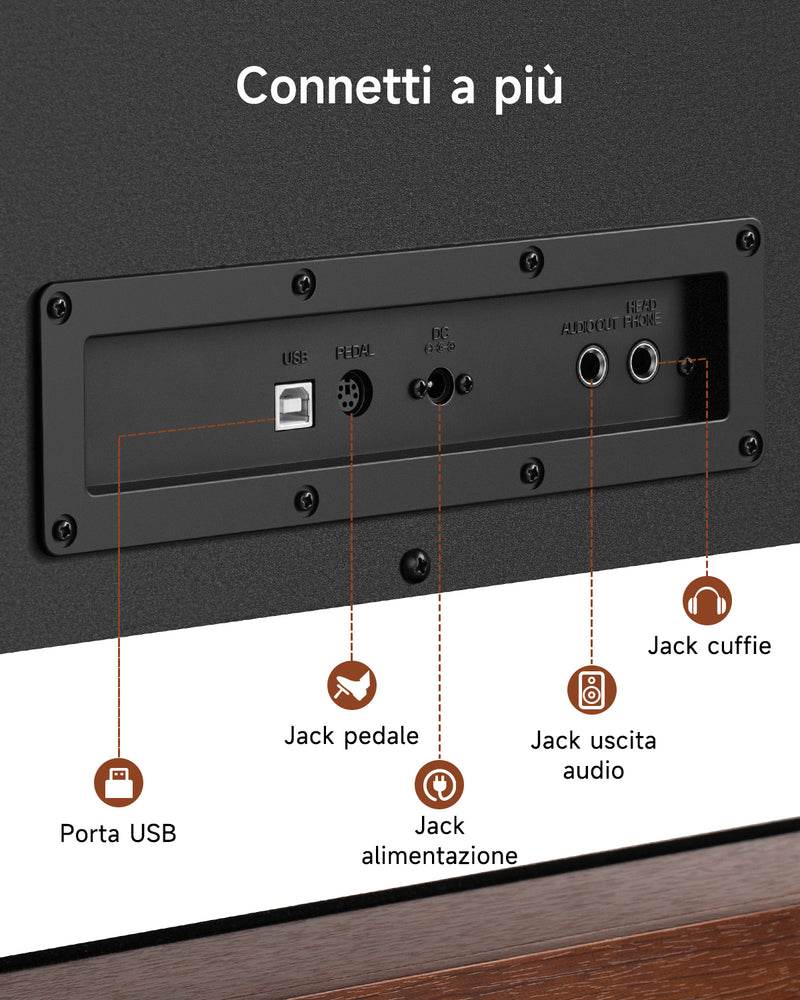 【Prevendita】Donner DDP-200 PRO Pianoforte digitale verticale progressivo a 88 tasti con-pesatura a martello-【Spedizione il 6 dicembre】